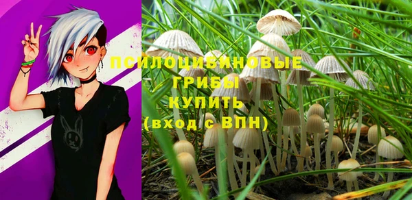 МДПВ Михайлов