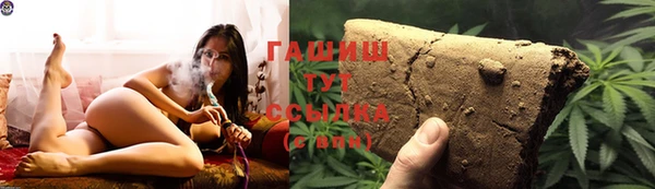 МДПВ Михайлов