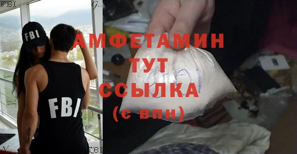 МДПВ Михайлов