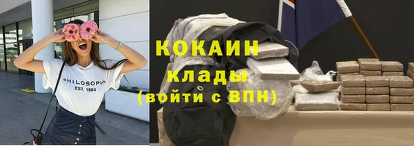 МДПВ Михайлов