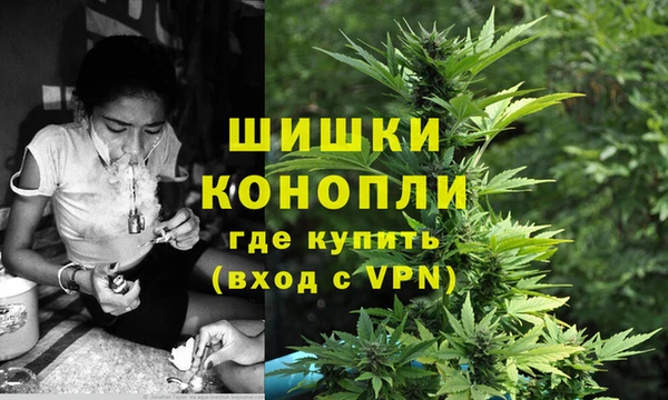 МДПВ Михайлов