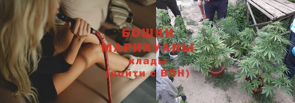 МДПВ Михайлов