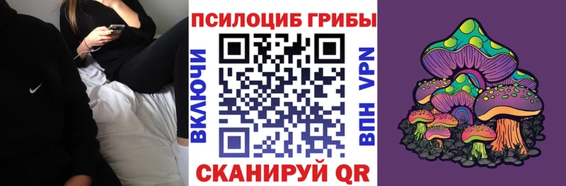 Псилоцибиновые грибы MAGIC MUSHROOMS  Углич 
