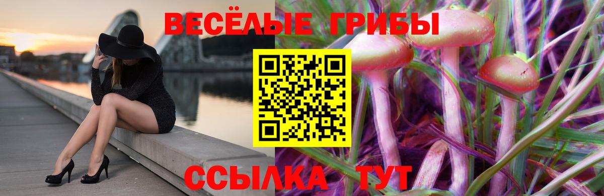 хочу наркоту  Вход с VPN  Углич  Галлюциногенные грибы Magic Shrooms 
